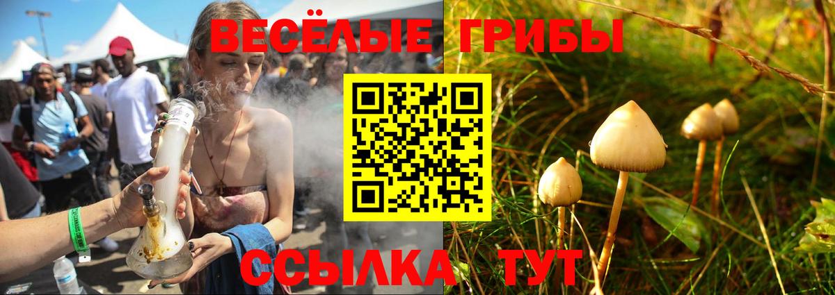 Ликино-Дулёво  Галлюциногенные грибы Psilocybe  Вход с VPN 